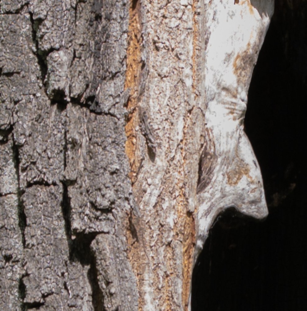 Фотография автора Олег Смирнов