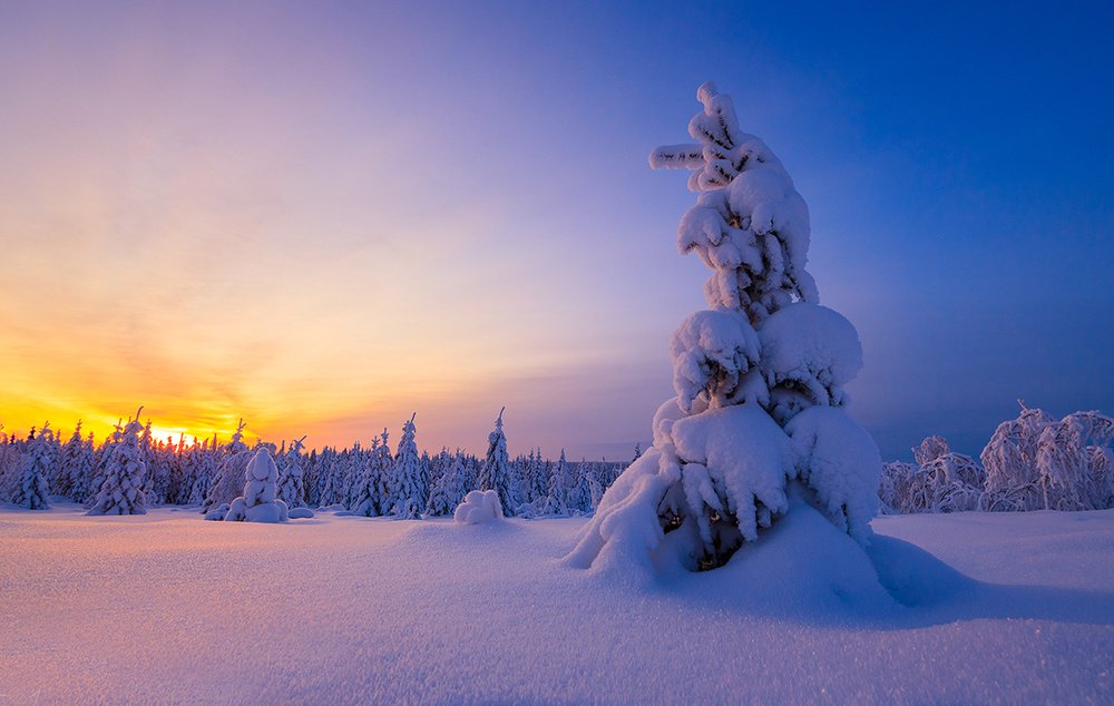 В ожидании полярной ночи.