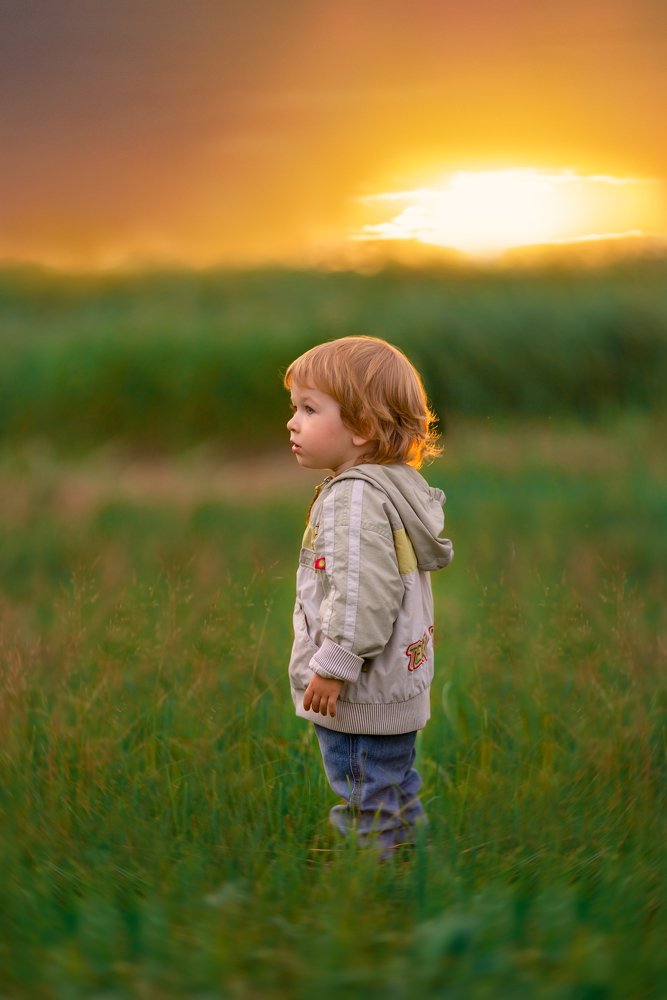 Королю страны Дальней...