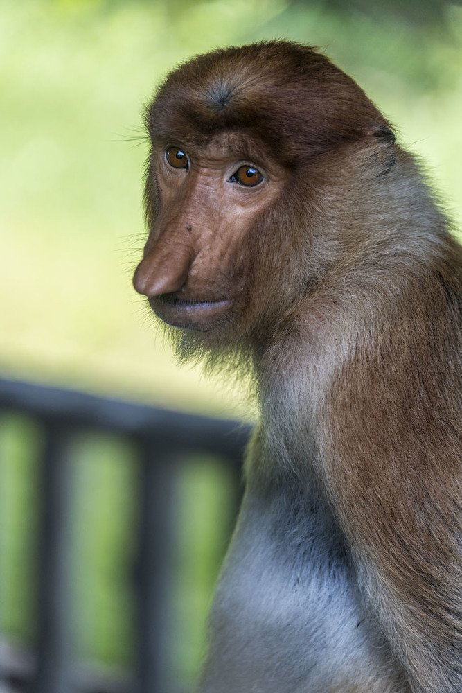 Photograph by Victor Belokrinitski