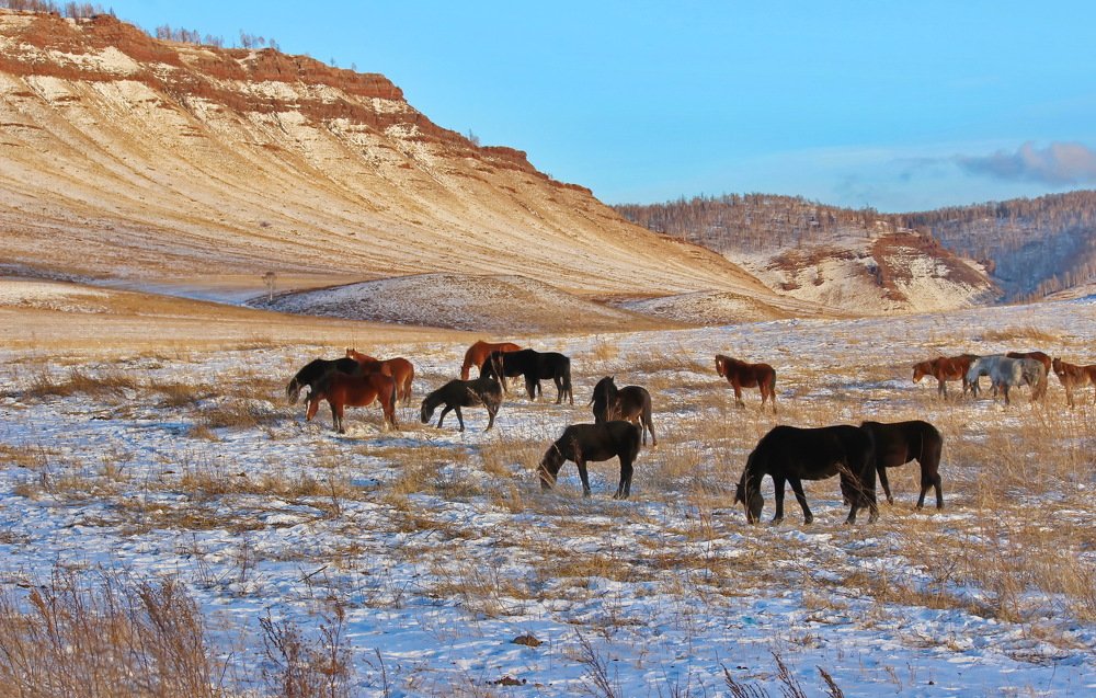 У священной горы Каратаг.