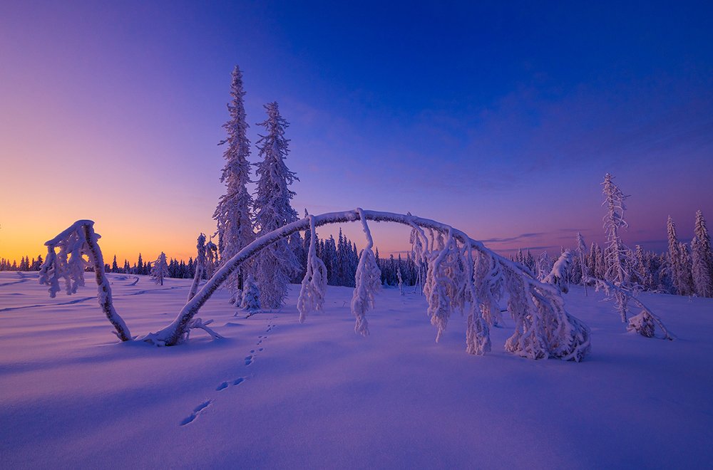 Тишина зимней ночи.