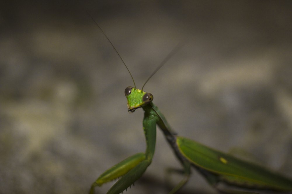 Photograph by Николаева Светлана