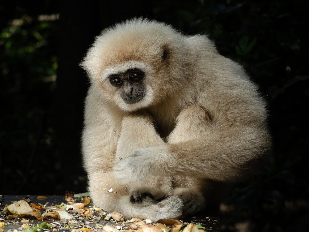 Photograph by Данил Луговой