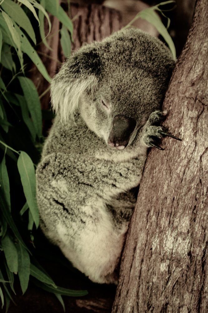 Photograph by Алексей Сухачев