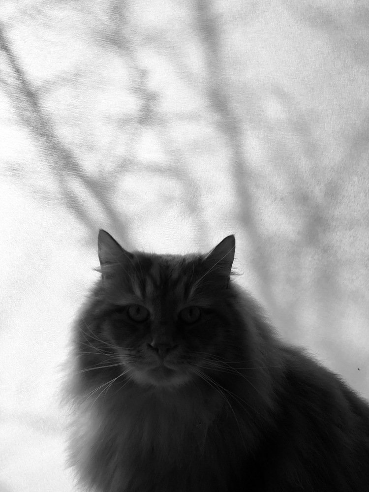 Photograph by Валентина Рязанцева