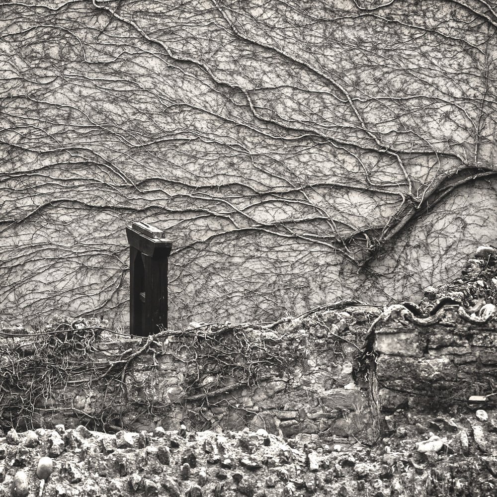 Photograph by Maria Koval