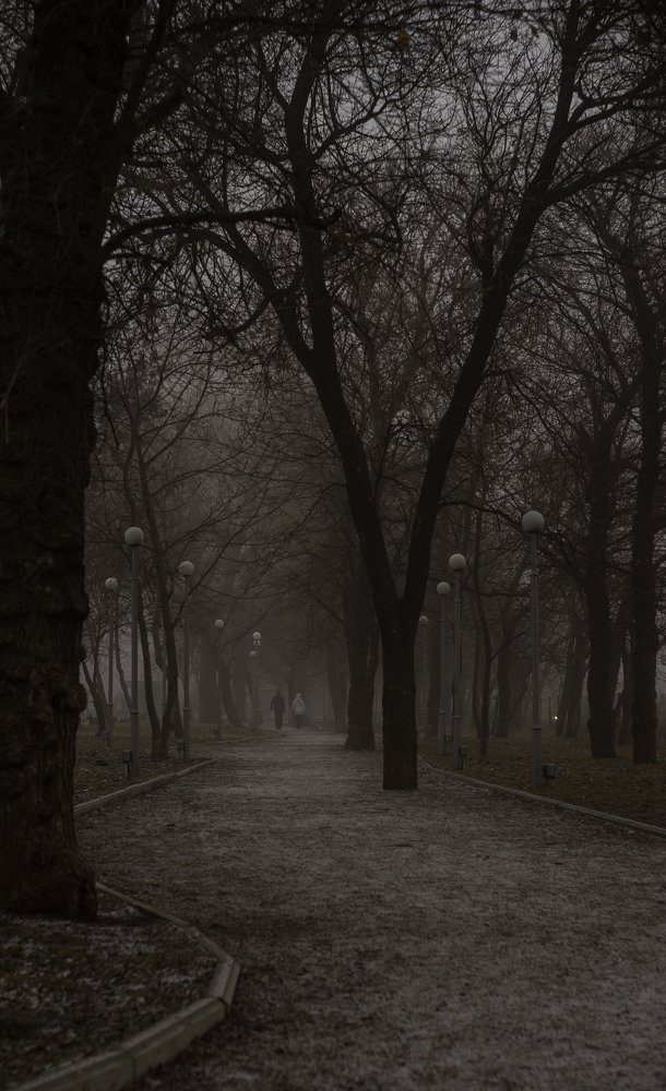 Городская аллея