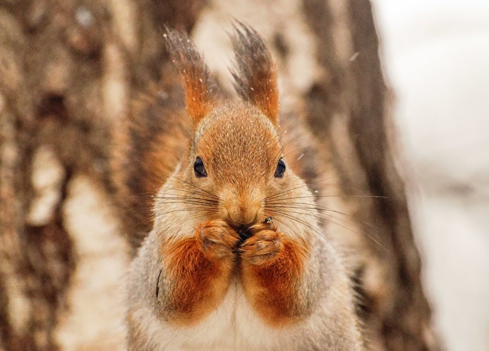 Photograph by Мария Кузьмина