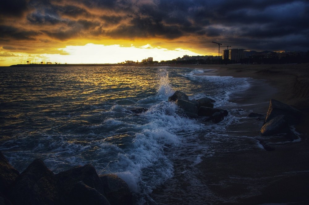 Photo #4222359