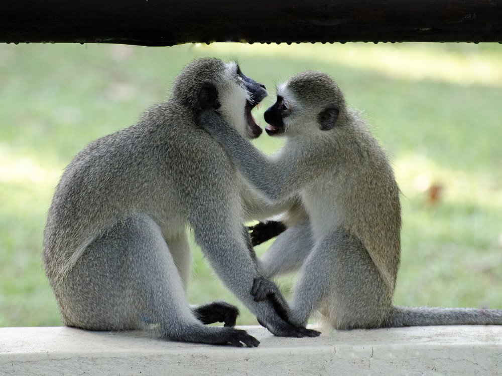 Photograph by Данил Луговой