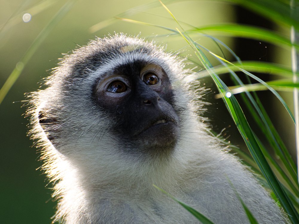 Photograph by Данил Луговой