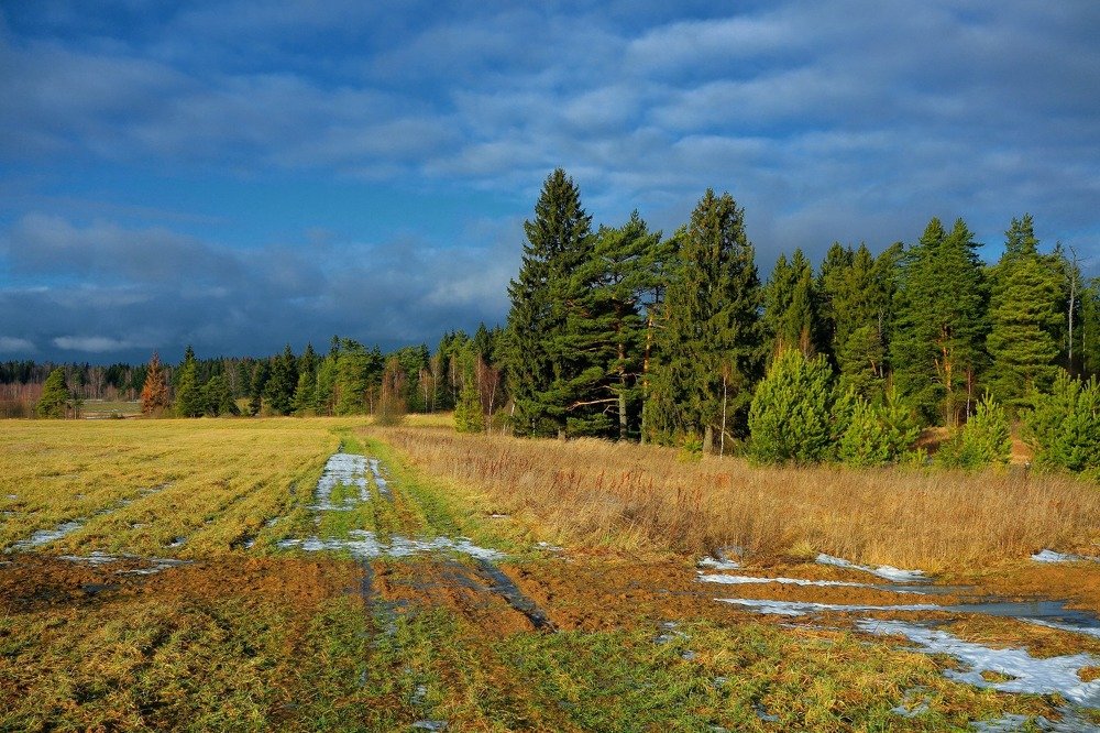 переходные времена
