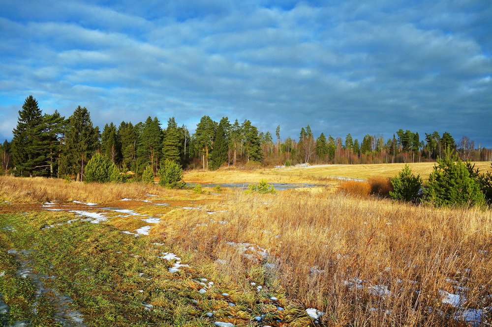Photograph by Сергей Седов