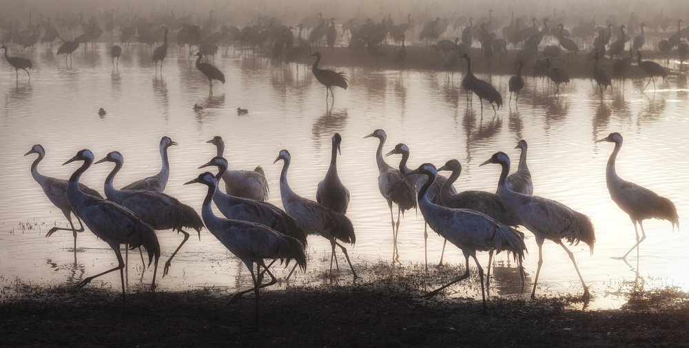 В заповедных местах