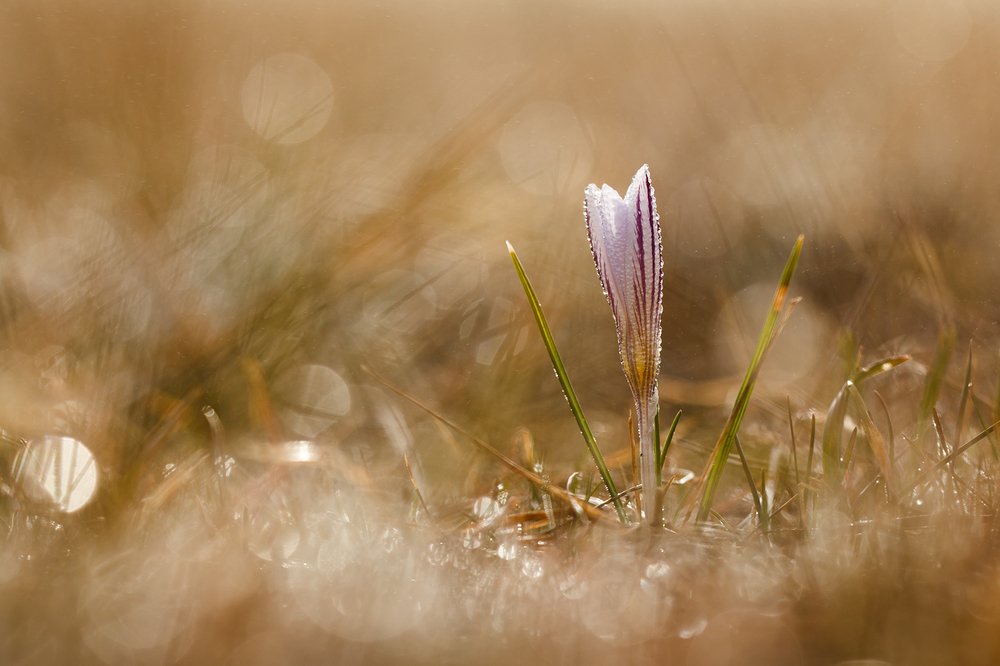 Photograph by Илья Михеев