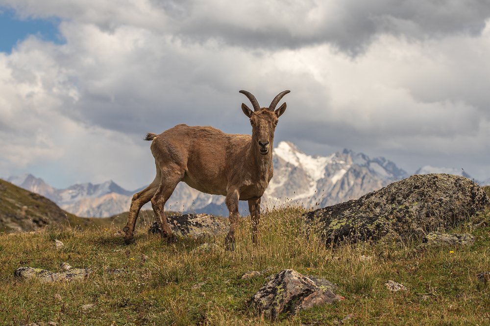 Photograph by Илья Михеев