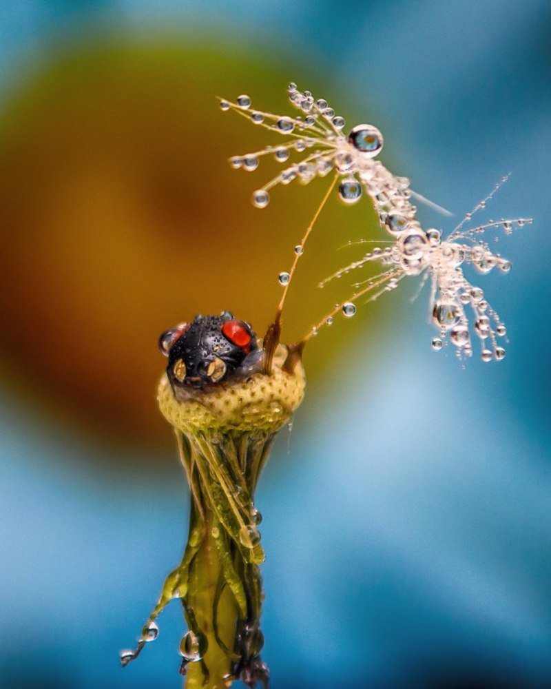 Photograph by Милородова Наталья