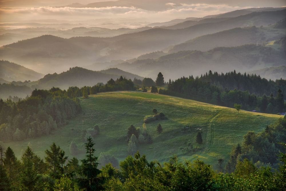 Morning fog seen from Koziarz