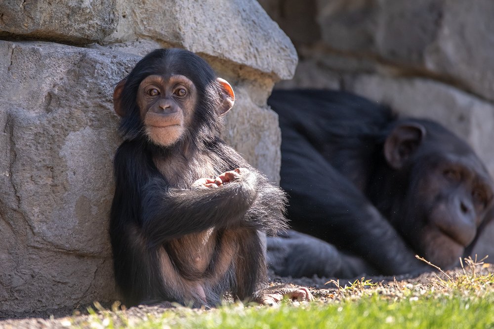 Photograph by Илья Михеев