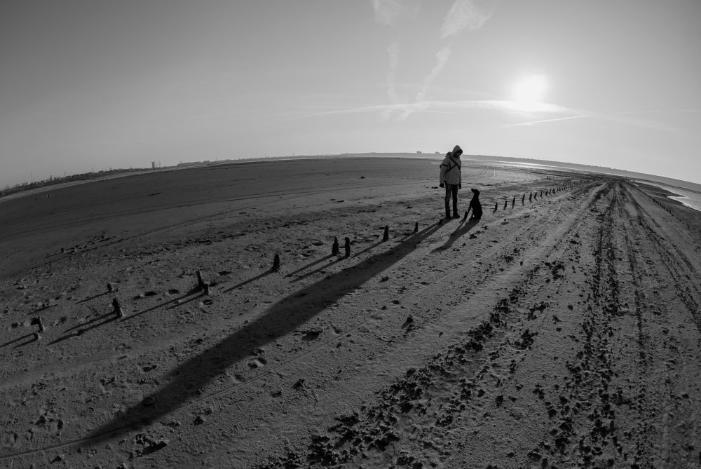 Photograph by София Шагаевская