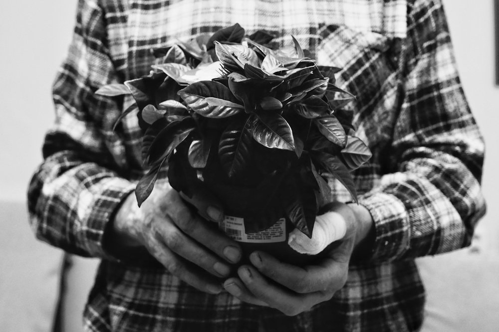 Photograph by Bronislava Brozova