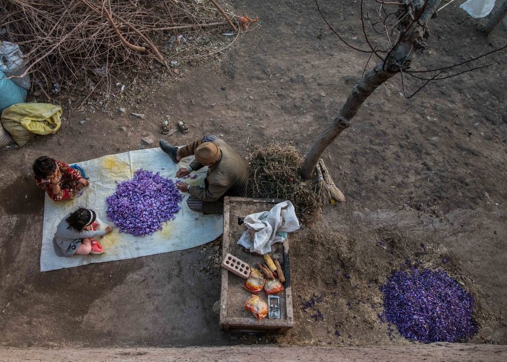 Photograph by amir ali navadeh shahla