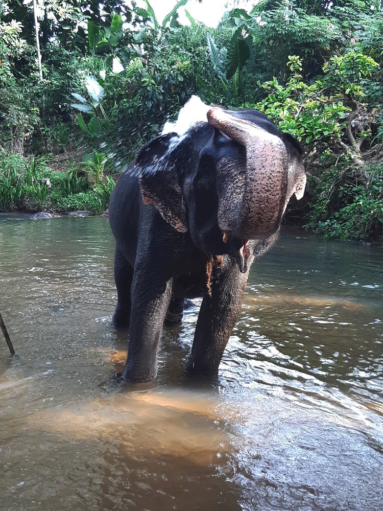 Photograph by Олексій Долинний