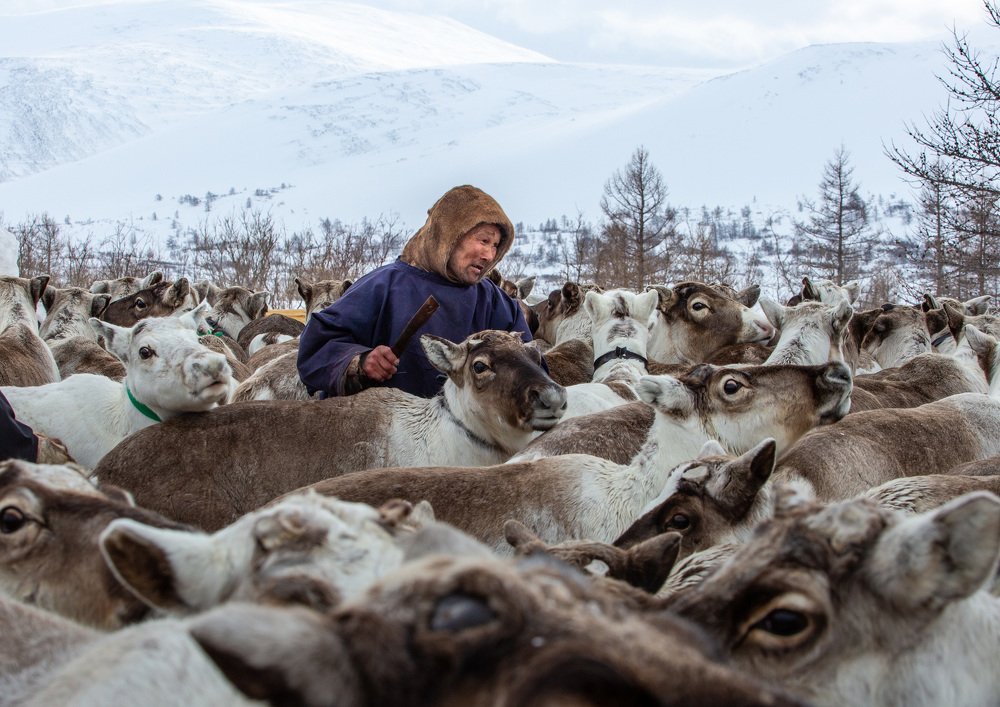 Panteley - commander of the nomads