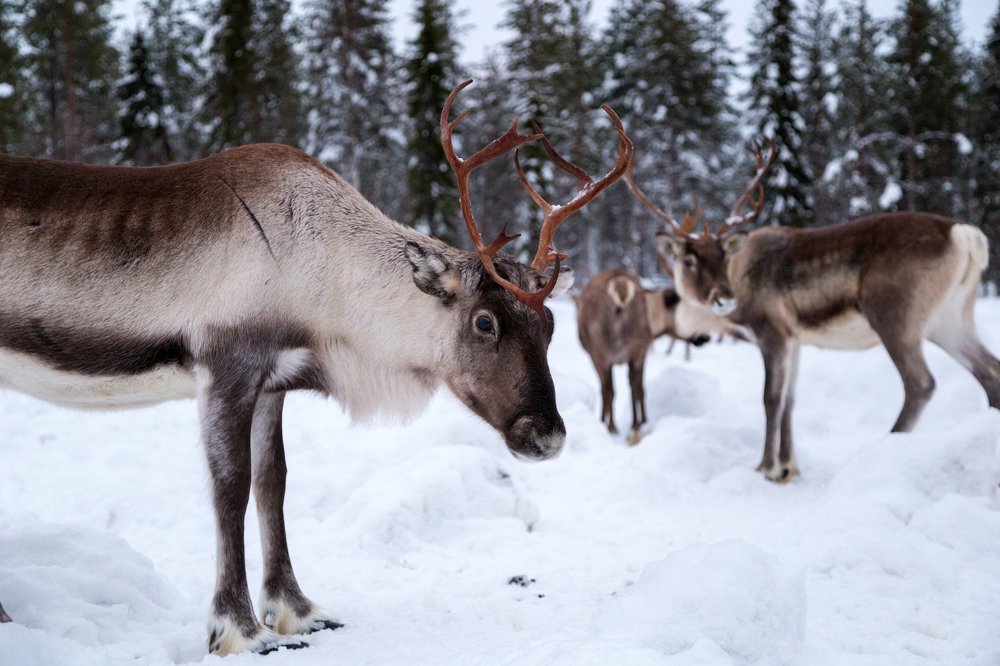 Photograph by Денис Жигалов