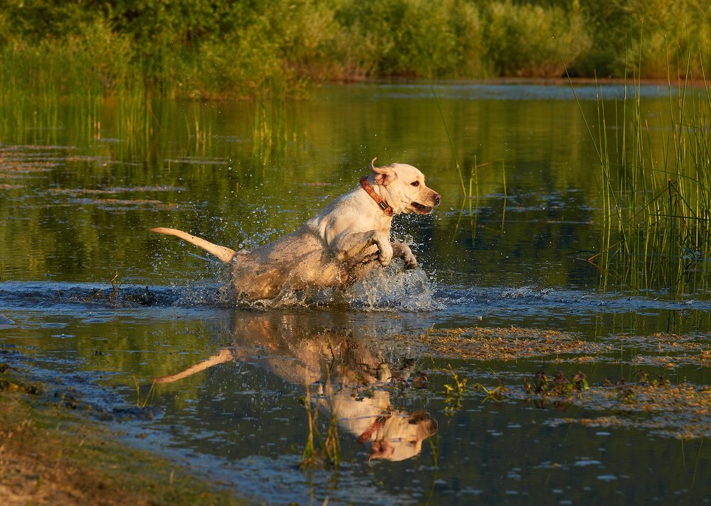 Photograph by Наталья Богач