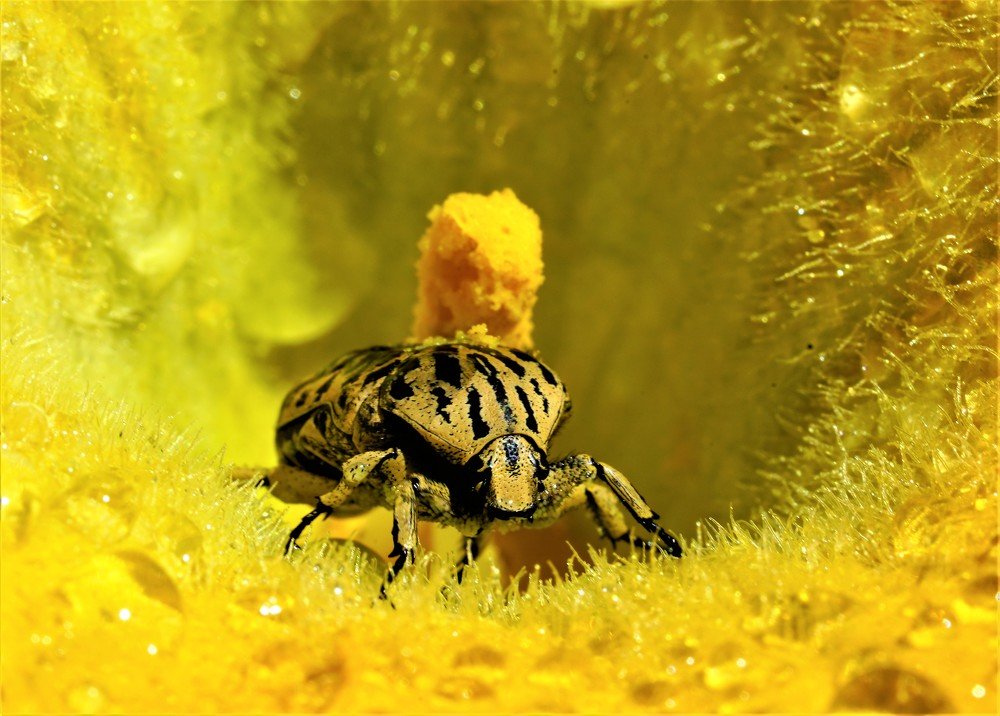 Photograph by Karina Elena Bergagna