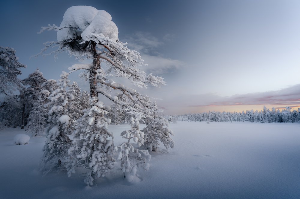 На севере диком стоит одиноко... Апатиты Мурманская обл.
