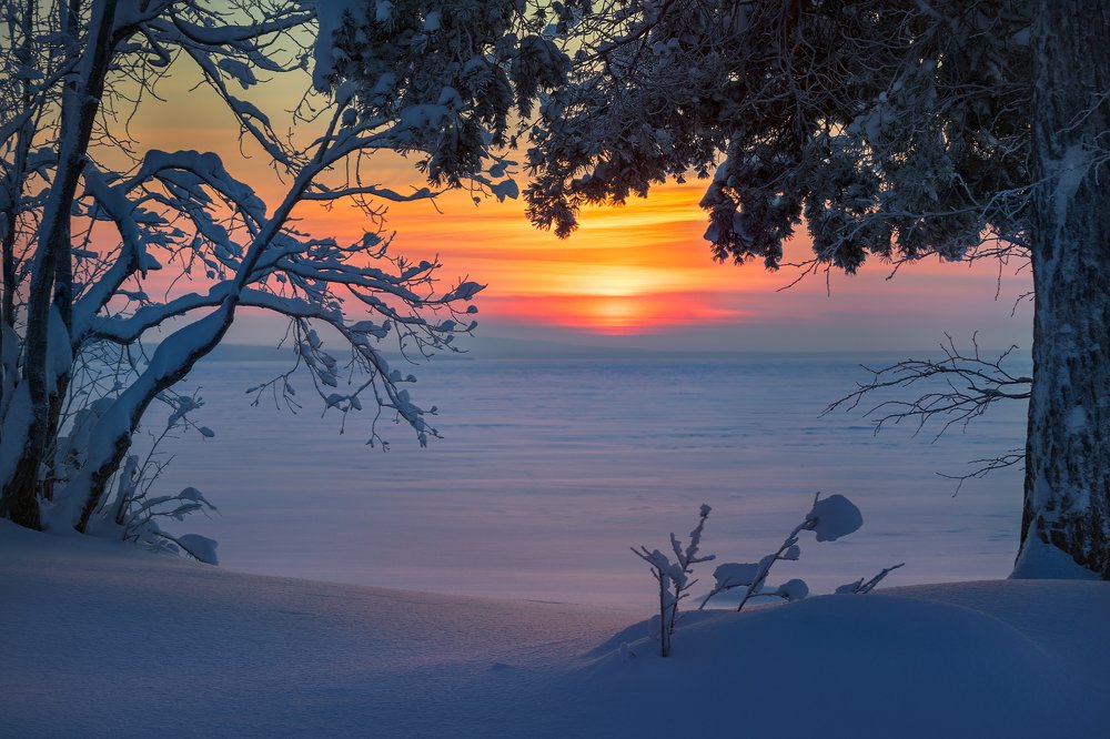 Photograph by Олег Семенкевич