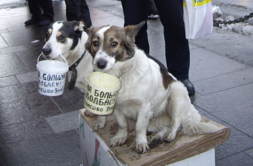 Городская жизнь у всех разная