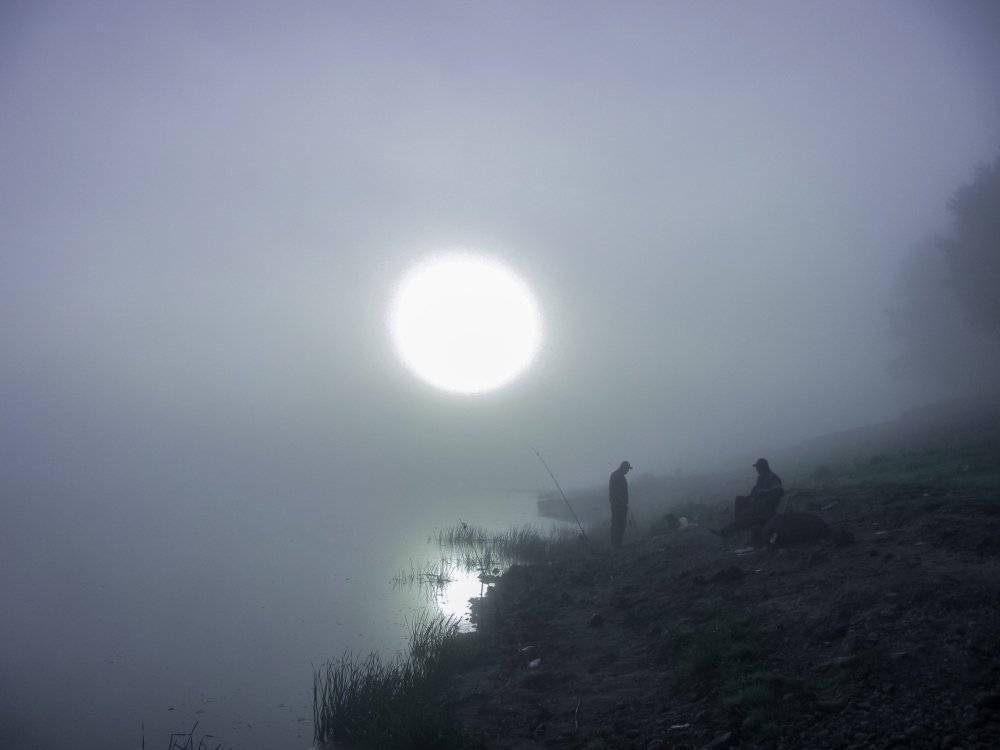 Photograph by Андрей