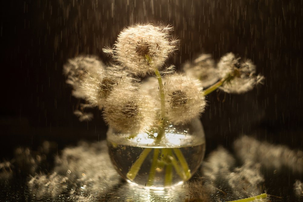 Photograph by Виктория Семернова