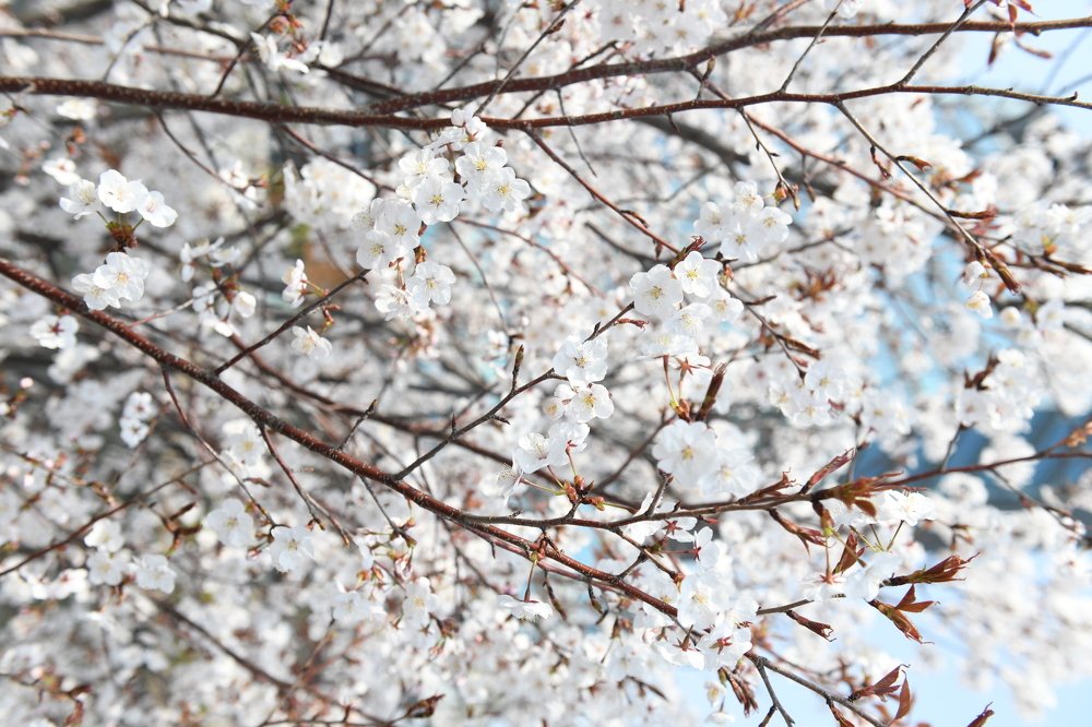 Photograph by Божена Пучко