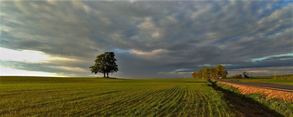 Photo #4223017