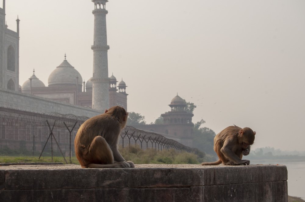 Photograph by Анастасия Езепчук