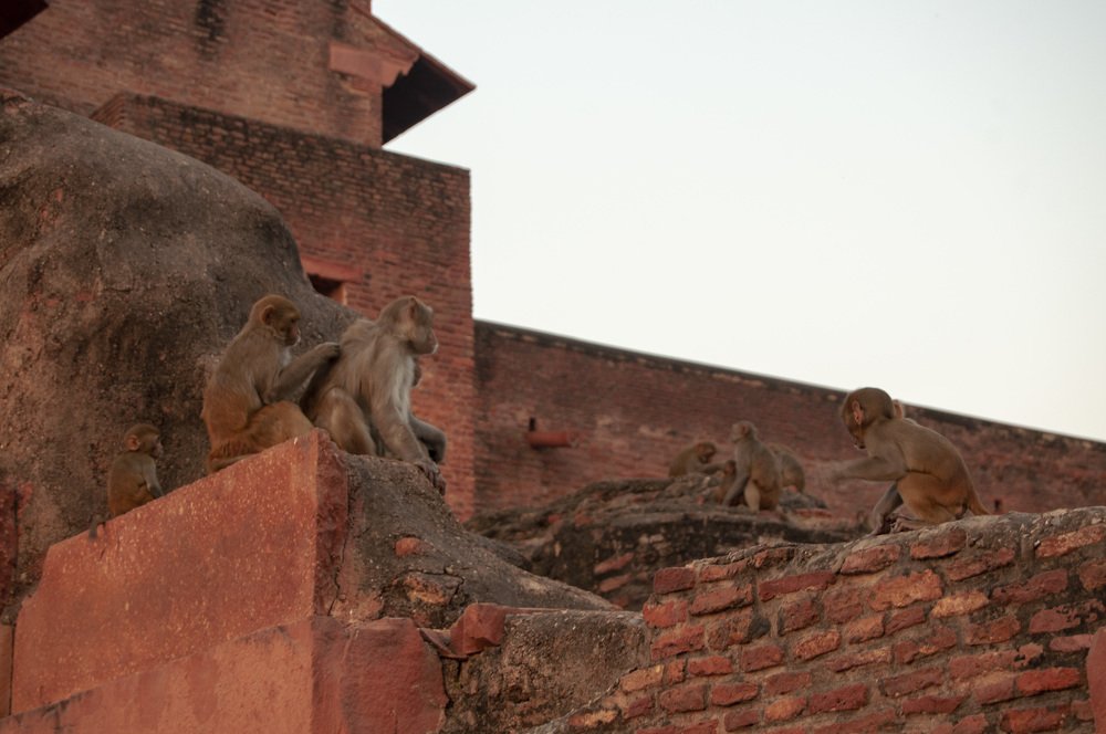 Photograph by Анастасия Езепчук