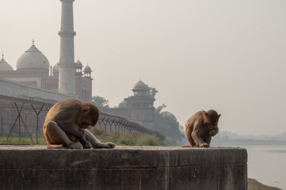 Photograph by Анастасия Езепчук