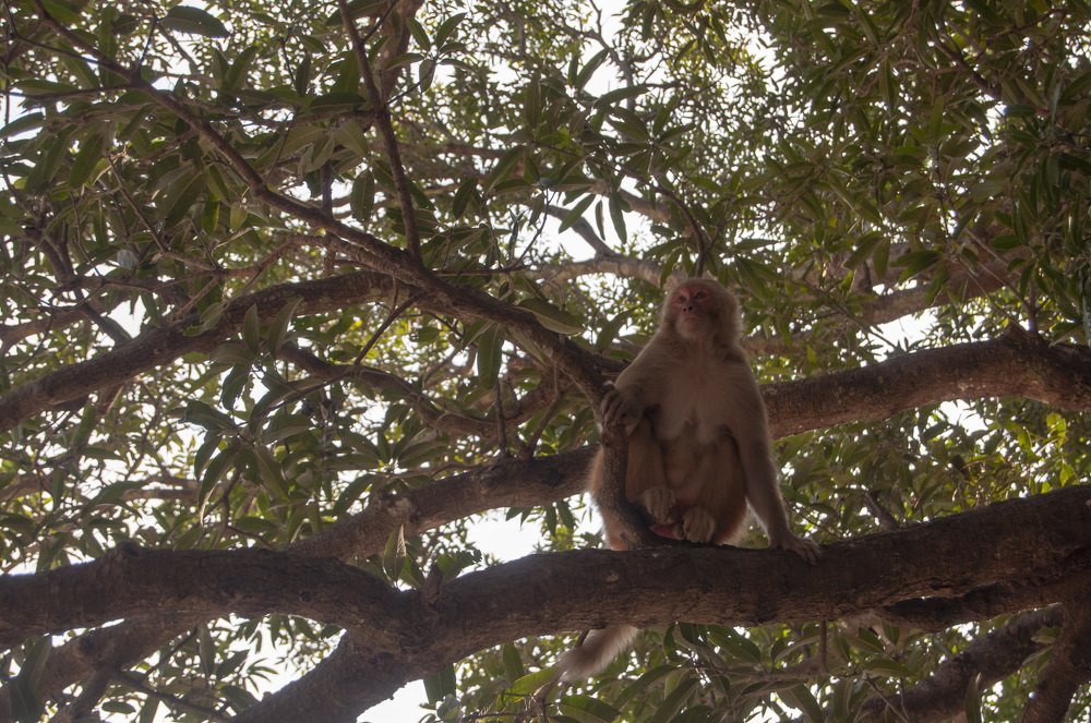 Photograph by Анастасия Езепчук