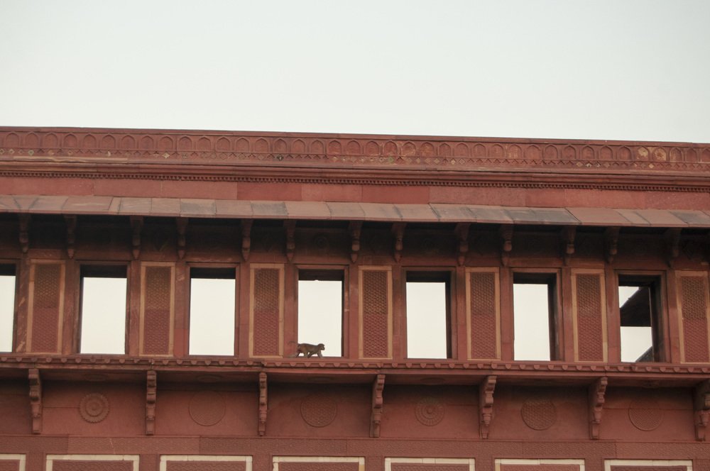 Photograph by Анастасия Езепчук