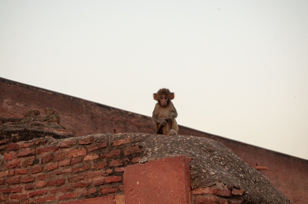 Photograph by Анастасия Езепчук