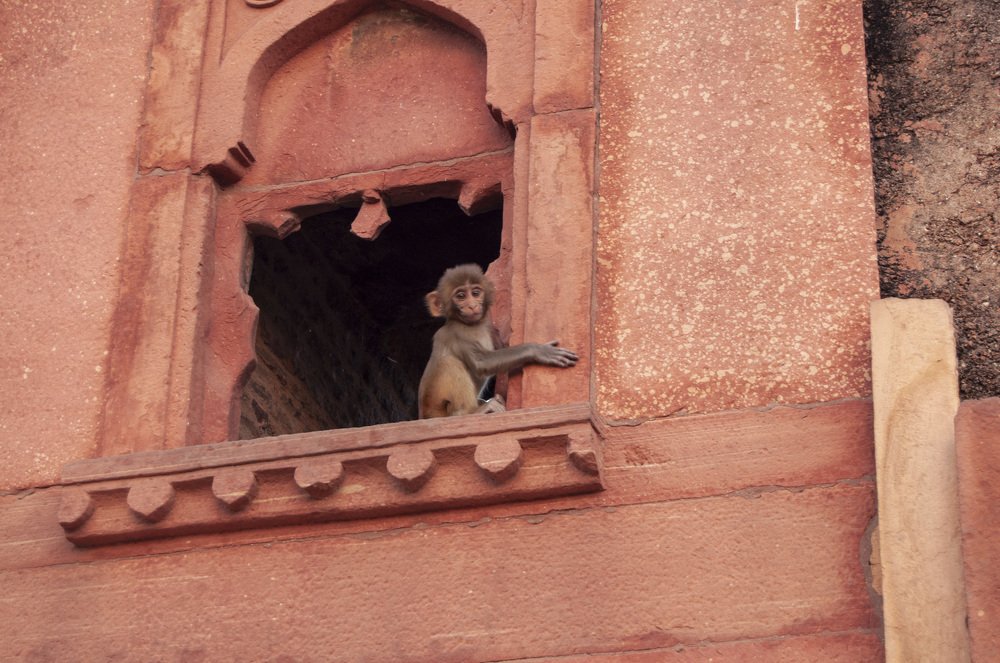 Photograph by Анастасия Езепчук