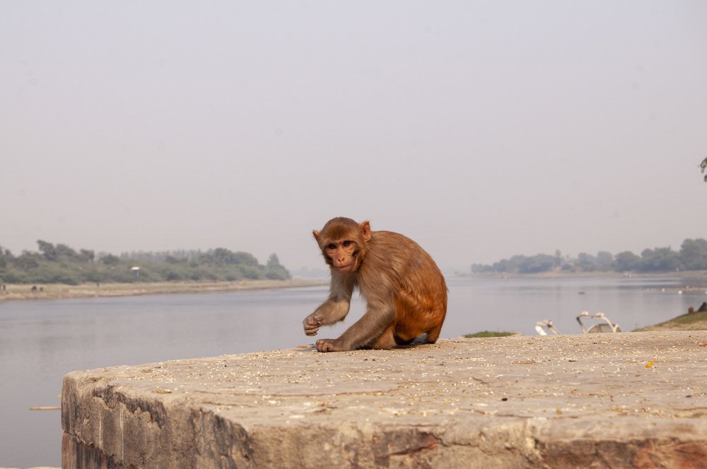Photograph by Анастасия Езепчук