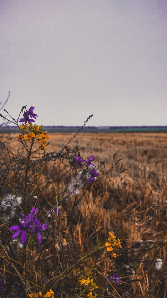 Photograph by Юлия Хоменко