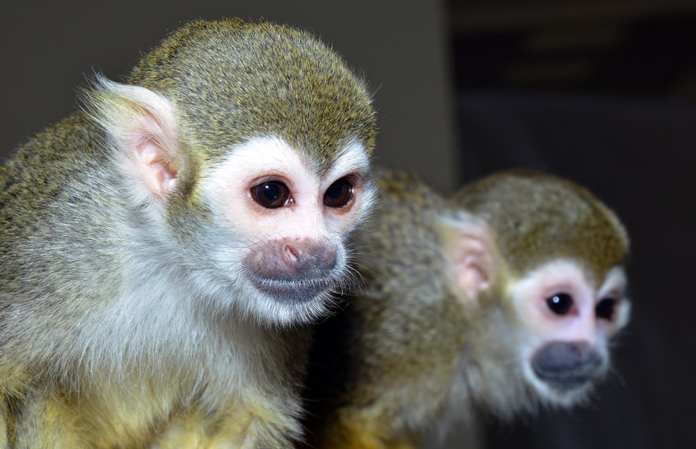 Photograph by Татьяна Кабанец