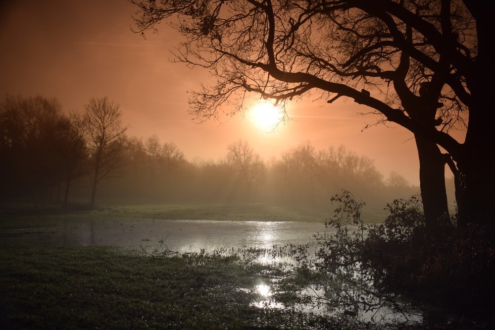 Photograph by Tendero